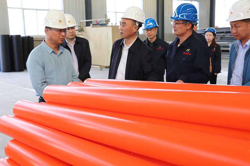 5.21日，定西市副市長、農(nóng)業(yè)農(nóng)村局局長等一行領(lǐng)導(dǎo)蒞臨我公司檢查指導(dǎo)工作