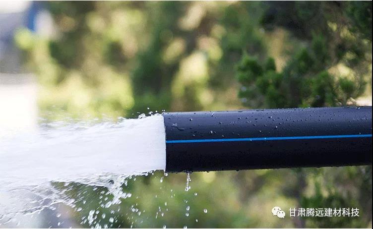 甘肅騰遠恭祝春節(jié)快樂 甘肅騰遠恭祝春節(jié)快樂